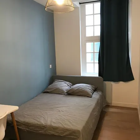 Grand Dans Le Cœur Du Petit Appartement Bayonne