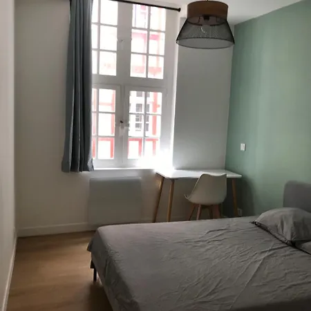Grand Dans Le Cœur Du Petit Appartement Bayonne